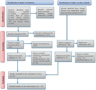 The effect of occupational exposure to organic dust on lung function parameters among African industrial workers: a systematic review and meta-analysis